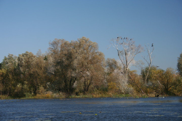 Gnojno 23 10 2010_6.jpg