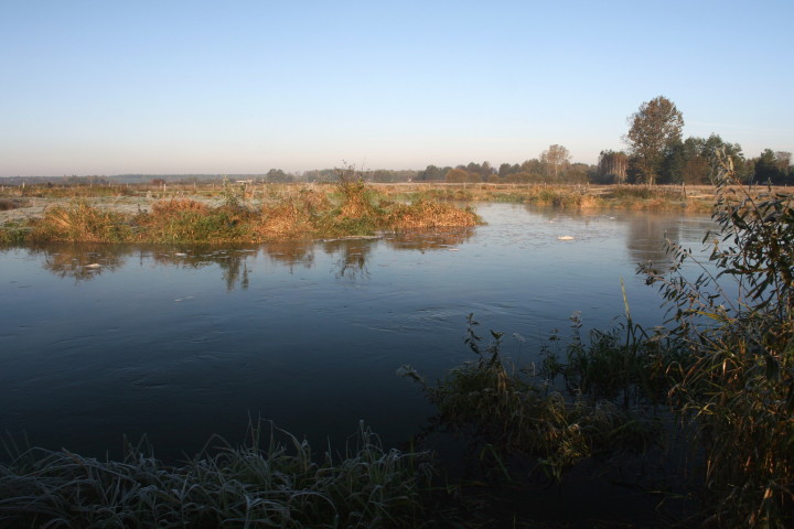 Narew 10 10 10_3.jpg