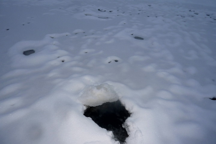 lód 20 01 2013_6.jpg