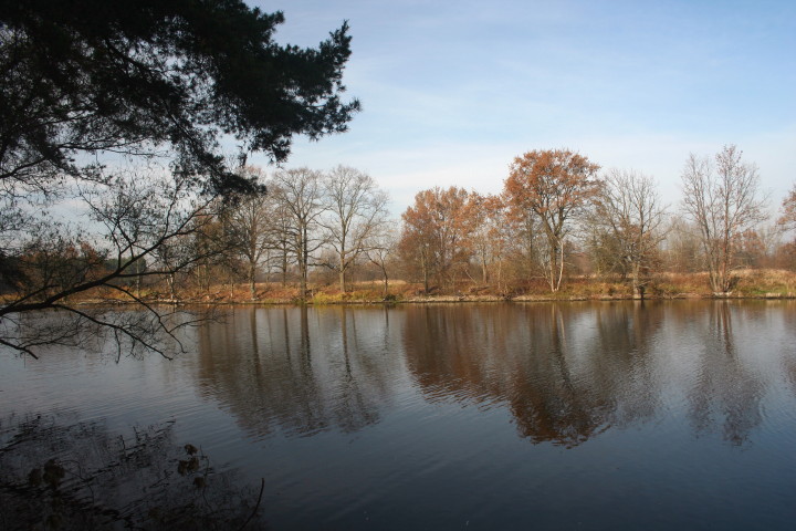 bużysko 30 10 2010_4.jpg