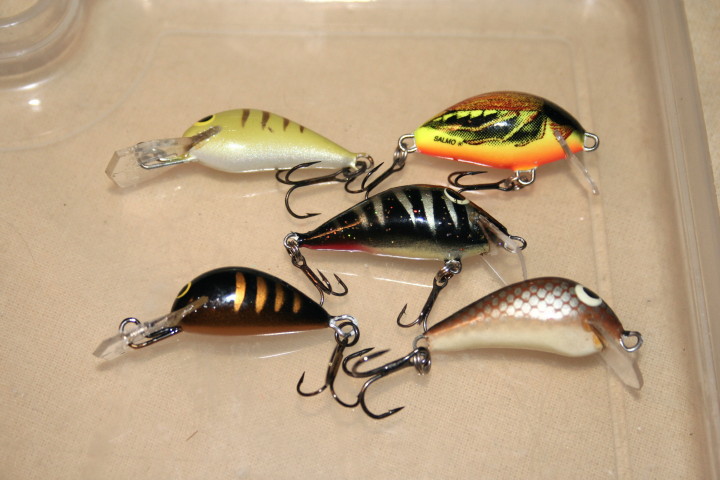 Zestaw wobl 2012_6.jpg