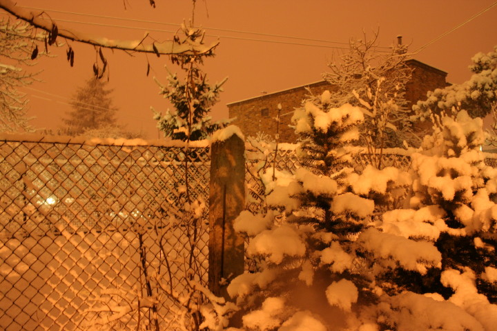 noc 14 03 2010_4.jpg