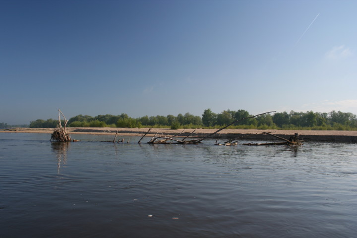 196_1.jpg