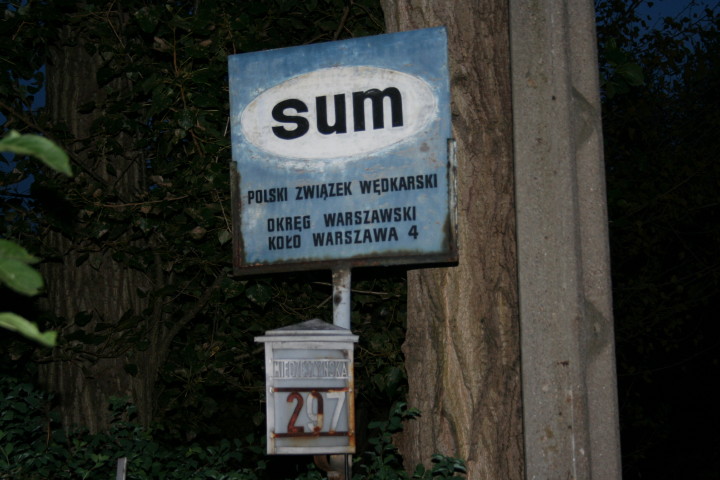 PRZ SUM.jpg