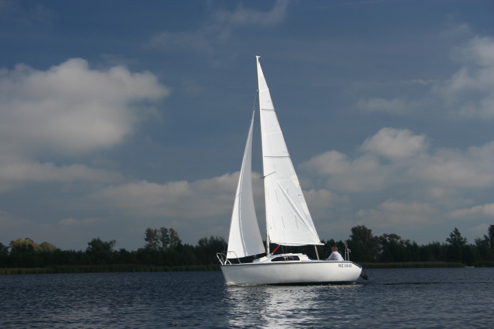 593_1.jpg