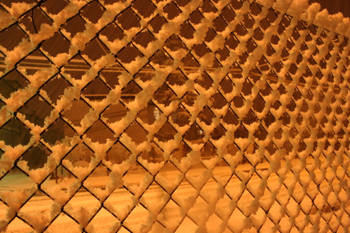 noc 14 03 2010_3.jpg