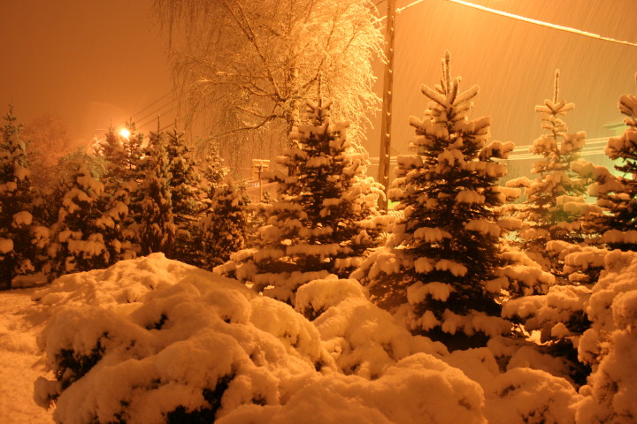 noc 14 03 2010_5.jpg