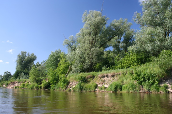 Wisła.jpg