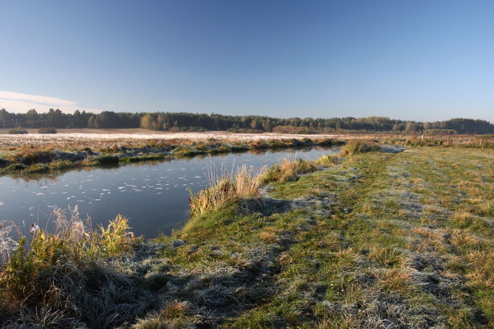 Narew 10 10 10_8.jpg