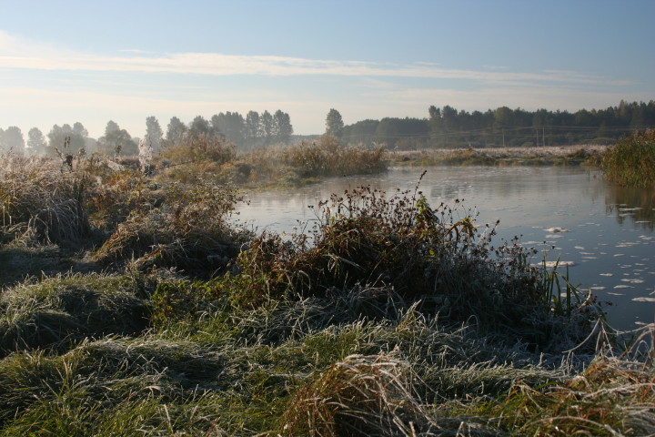 Narew 10 10 10_1.jpg