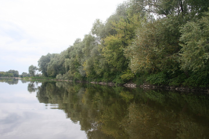 13 09_5.jpg