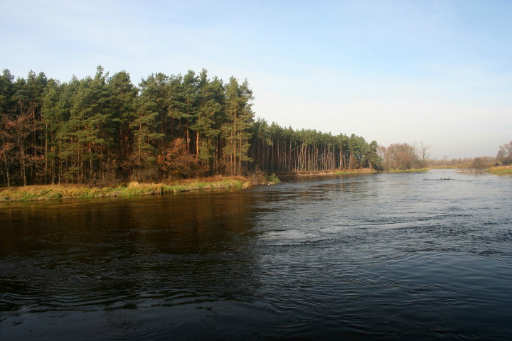 bużysko 30 10 2010_2.jpg