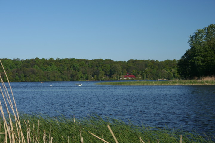 126.jpg