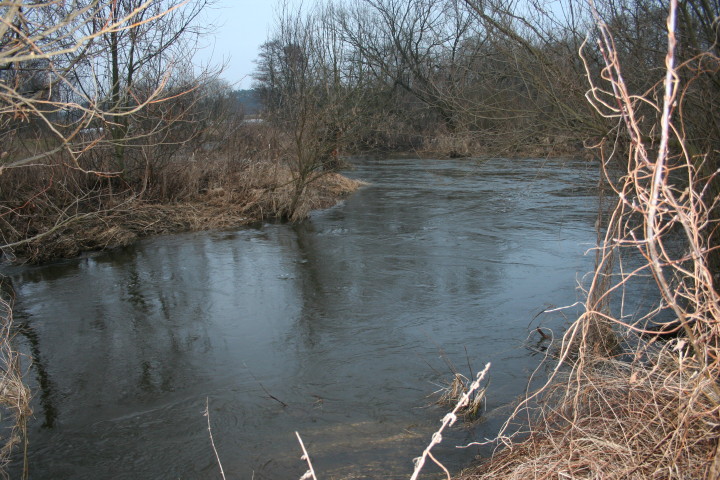 Wkra 21 03_2010_1.jpg