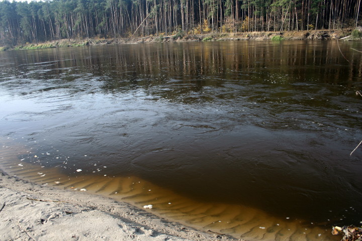 bużysko 30 10 2010_1.jpg