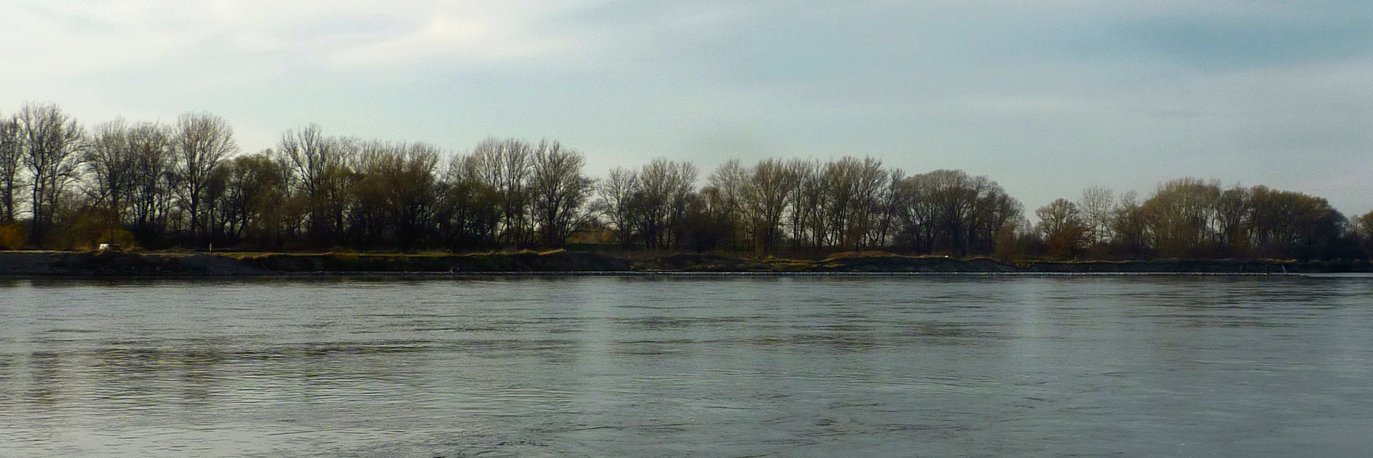 Dębówka 3.jpg