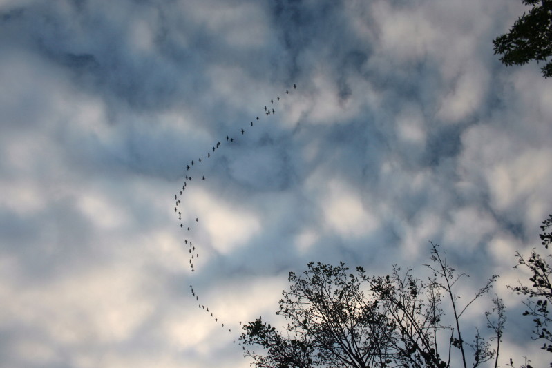 Narew 24 09 2011_11.jpg