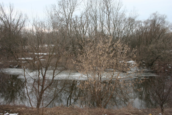 W_20 03 2010_4.jpg