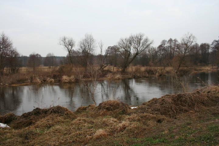 Wkra 21 03_2010_3.jpg