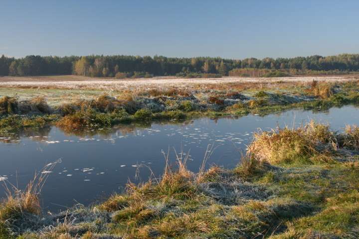 Narew 10 10 10_5.jpg