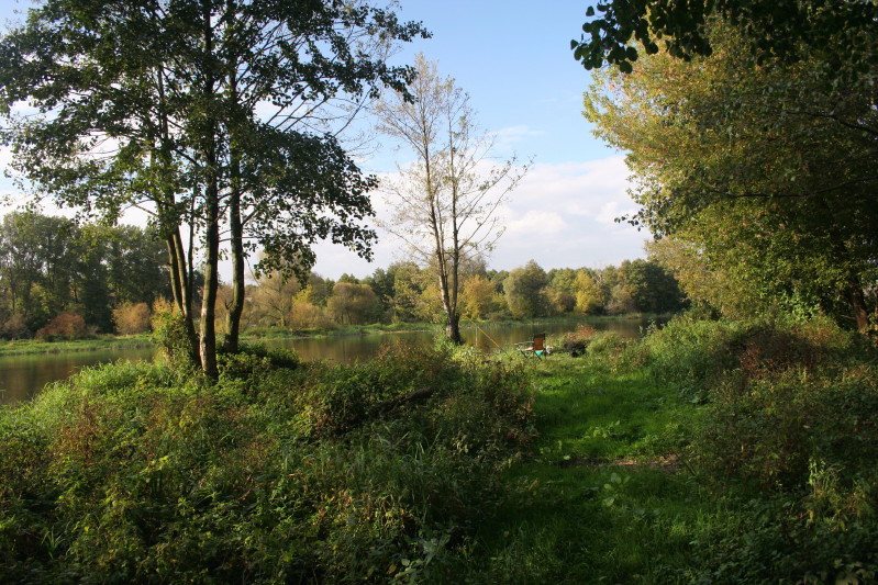 Narew 24 09 2011_2.jpg