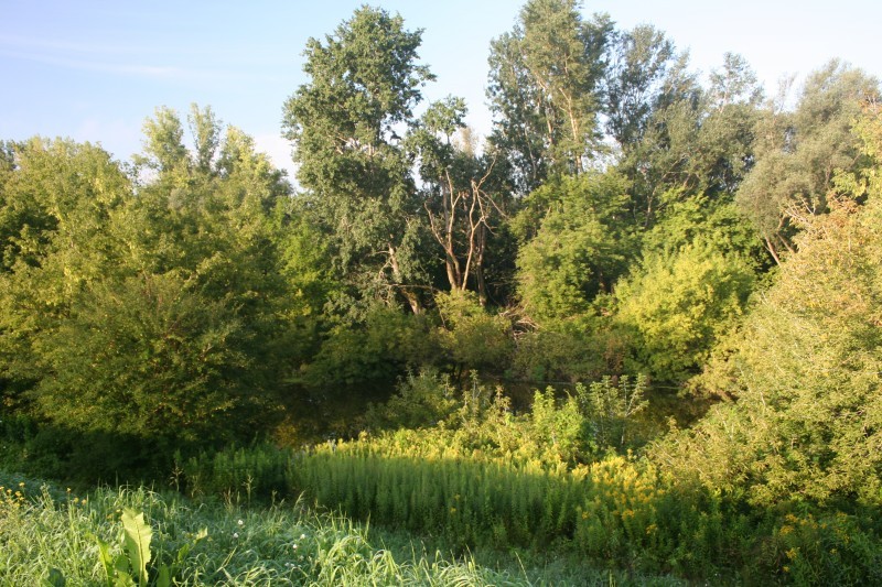 29 07 2011_5.jpg