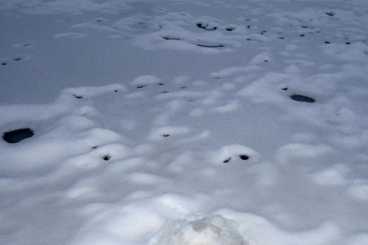 lód 20 01 2013_1.jpg