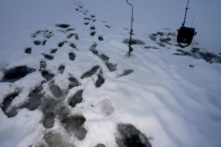 lód 20 01 2013_7.jpg