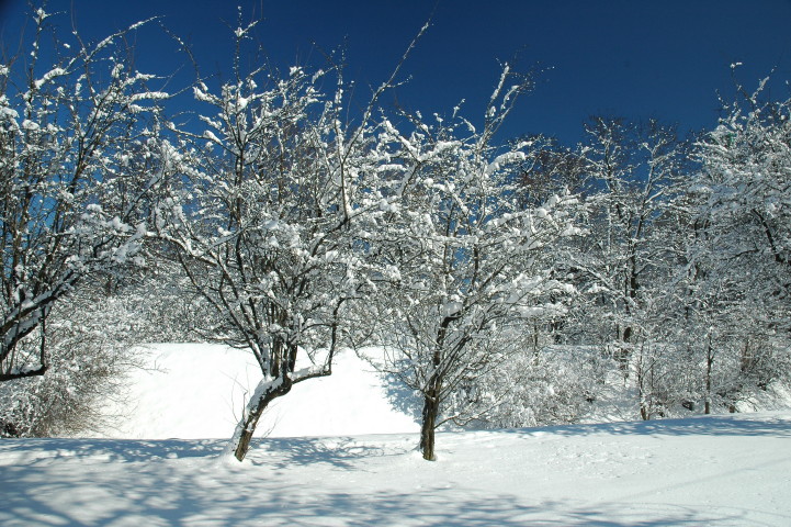 15 03 2010_6.jpg