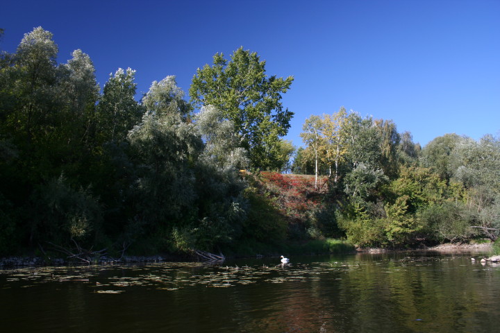 20 09_15.jpg