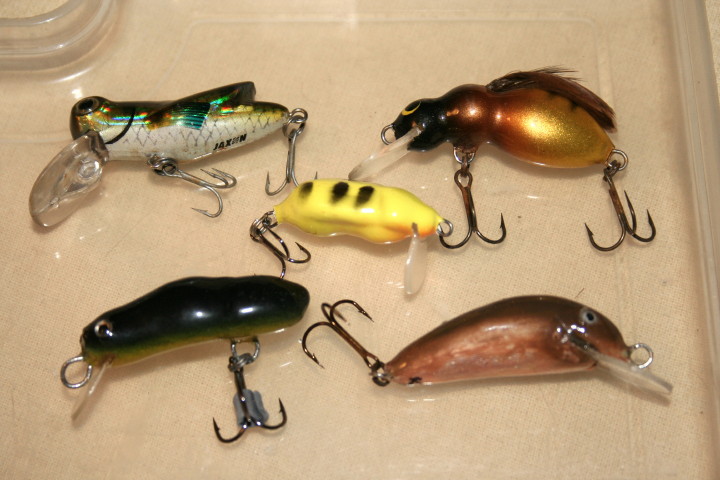 Zestaw wobl 2012_1.jpg