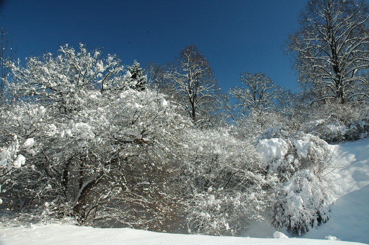 15 03 2010_4.jpg