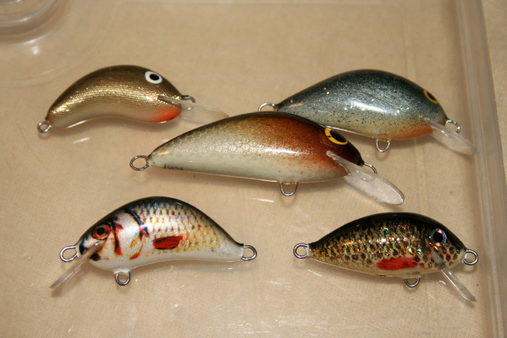 Zestaw wobl 2012_7.jpg