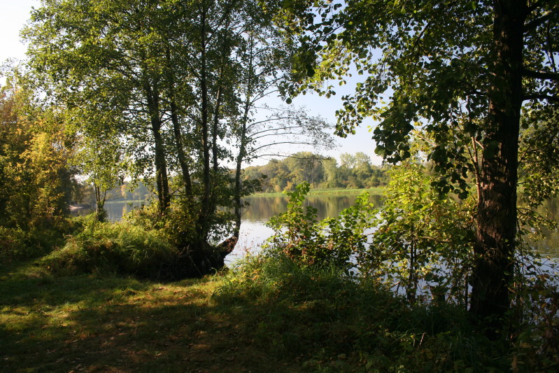 Narew 24 09 2011_6.jpg