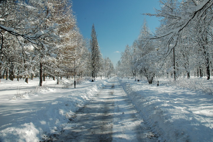 15 03 2010_3.jpg