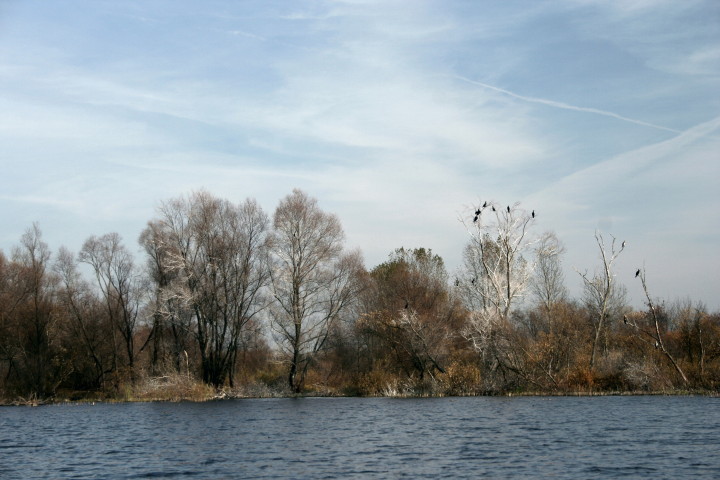 Gnojno 01 11 2010_3.jpg