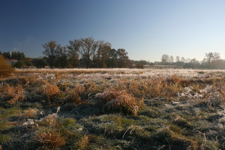 Narew 10 10 10_7.jpg