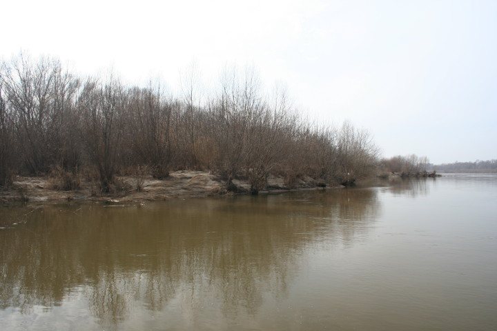 W_20 03 2010_2.jpg