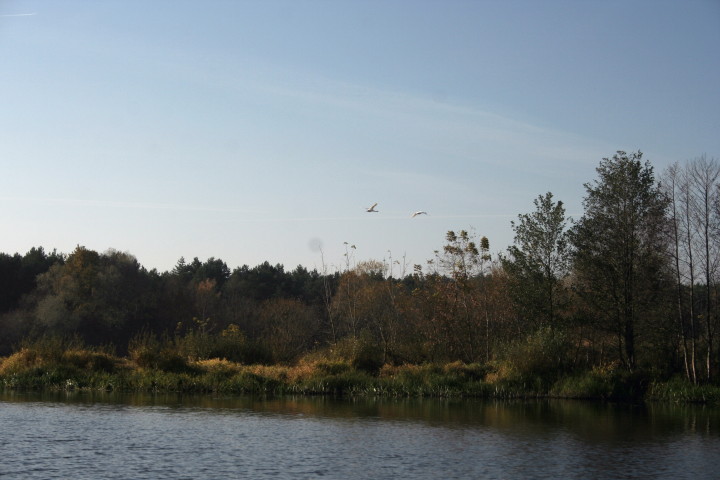 Gnojno 23 10 2010_4.jpg