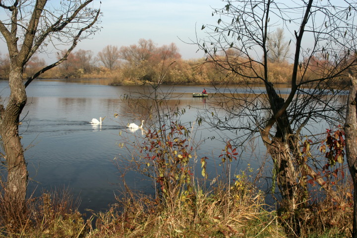 bużysko 30 10 2010_7.jpg