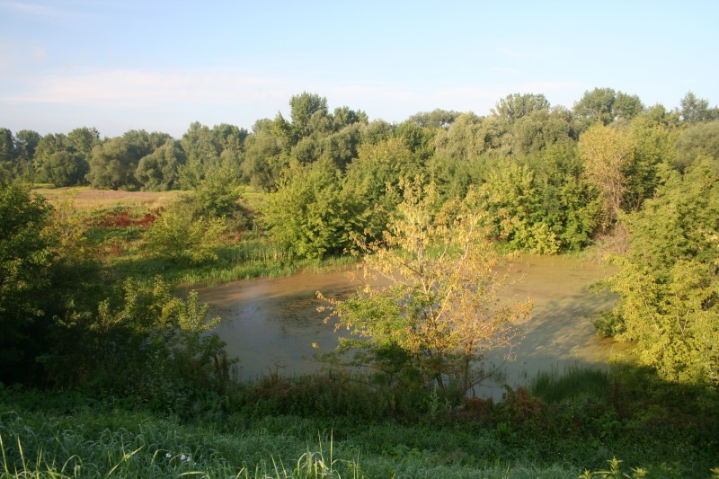 29 07 2011_2.jpg