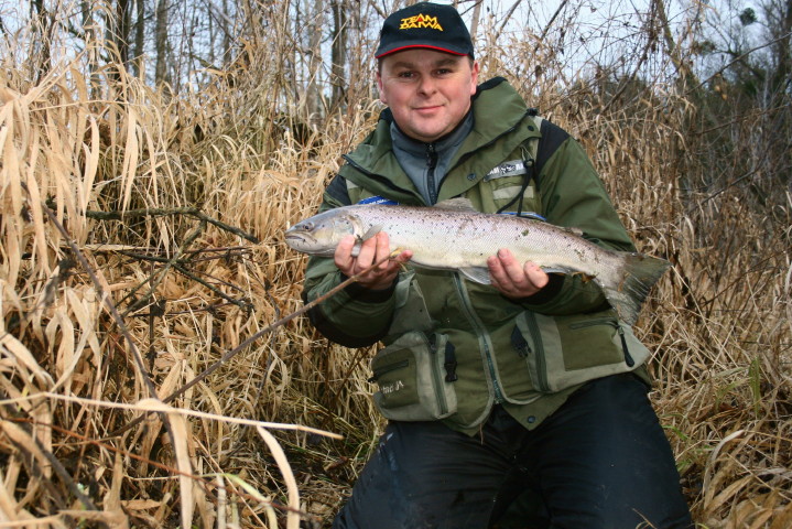 Drwęca 05 01 2013.jpg