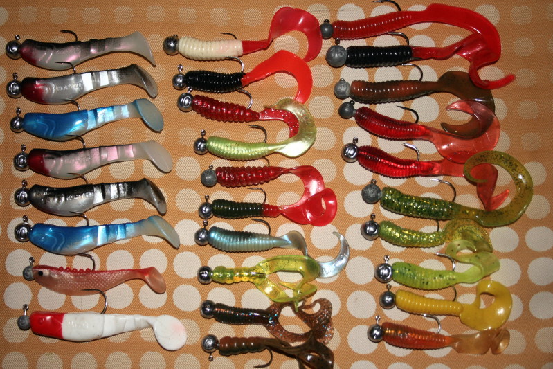 gumisie na wrzesień.jpg