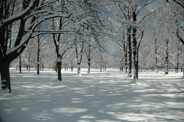 15 03 2010_1.jpg