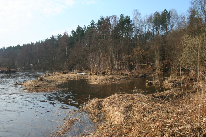 Wkra 21 03_2010_4.jpg