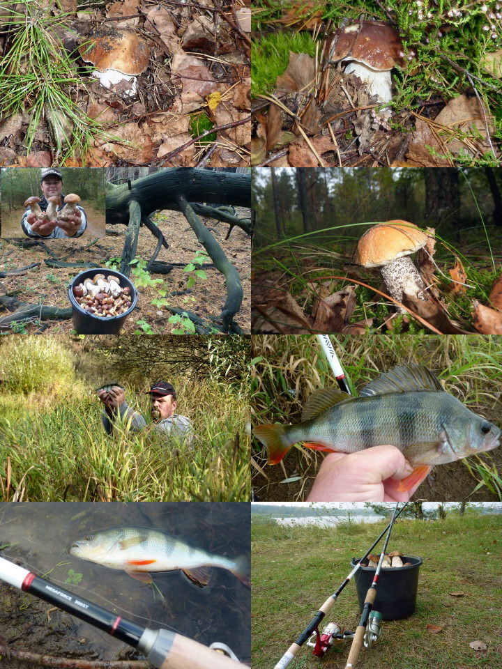 grzyby i ryby 13 10 2012.jpg