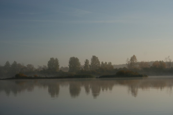 729.jpg