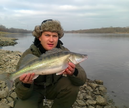 papacha smerfika.jpg