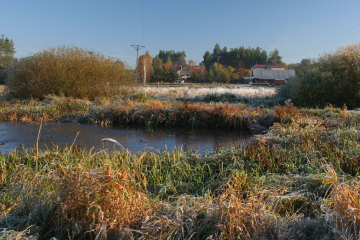 Narew 10 10 10_4.jpg
