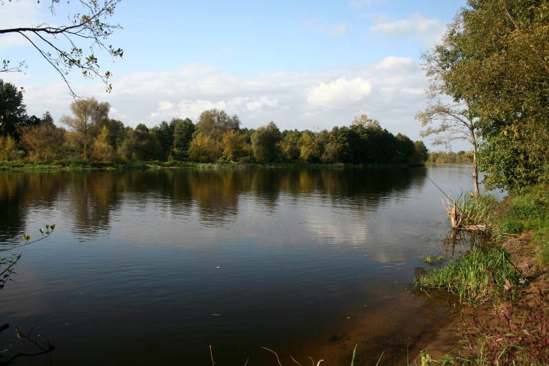 Narew 24 09 2011_1.jpg